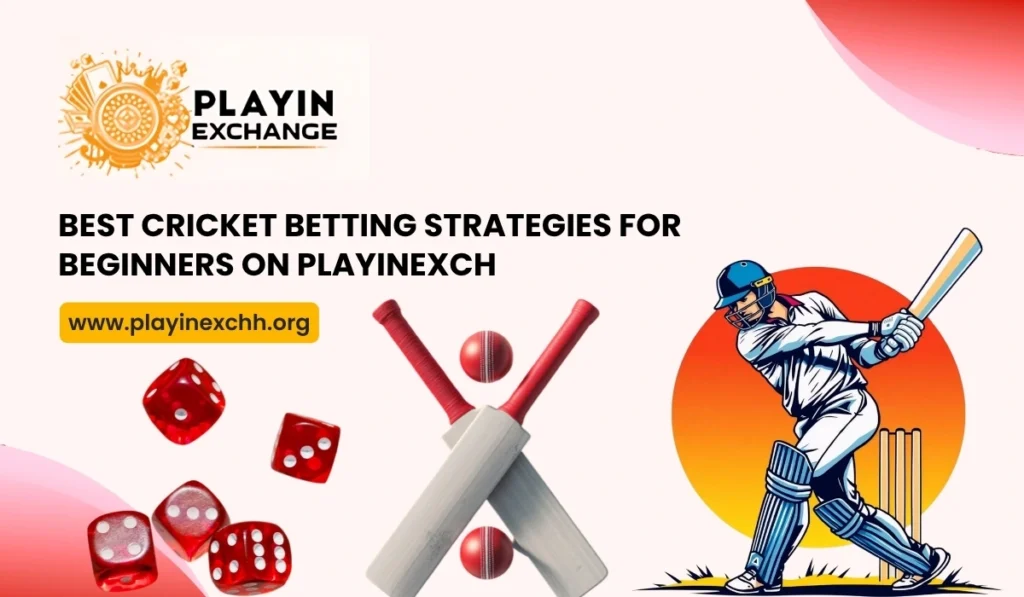Best Cricket Betting Strategies for Beginners on Playinexch