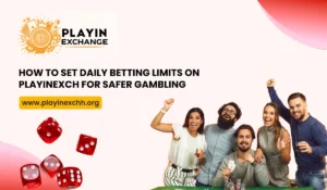 How to Set Daily Betting Limits on Playinexch for Safer Gambling